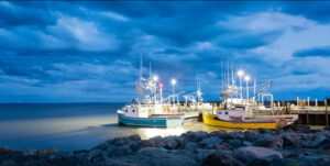 Rosselkhoznadzor has expanded the list of Russian suppliers of fish products to China